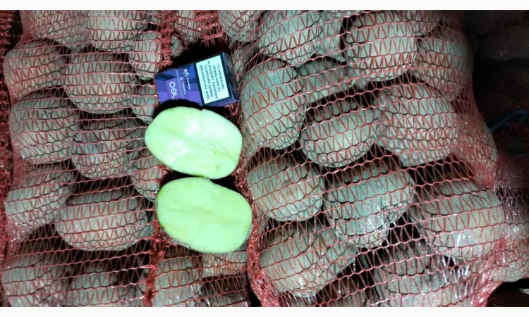 Картофель товарный оптом - фото № 1