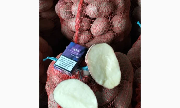 Картофель товарный оптом - фото № 2