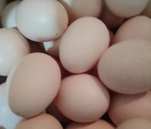 Продаю яйця курячі домашніашні - фото № 1