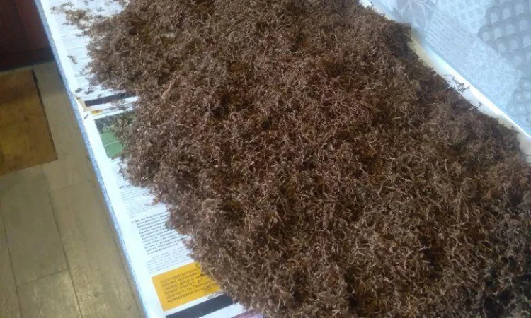 Лови момент!Твои Сигареты теперь по 40 грн. - фото № 1