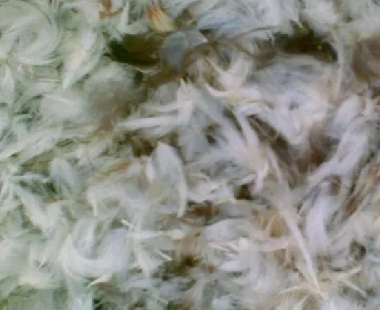 Продам пух-перо птиці б/у - фото № 1