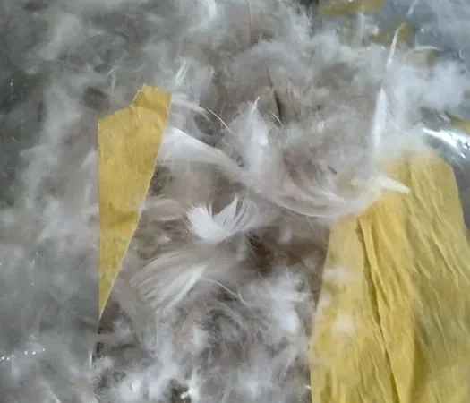 Пір'я подушки перини б/у - фото № 1