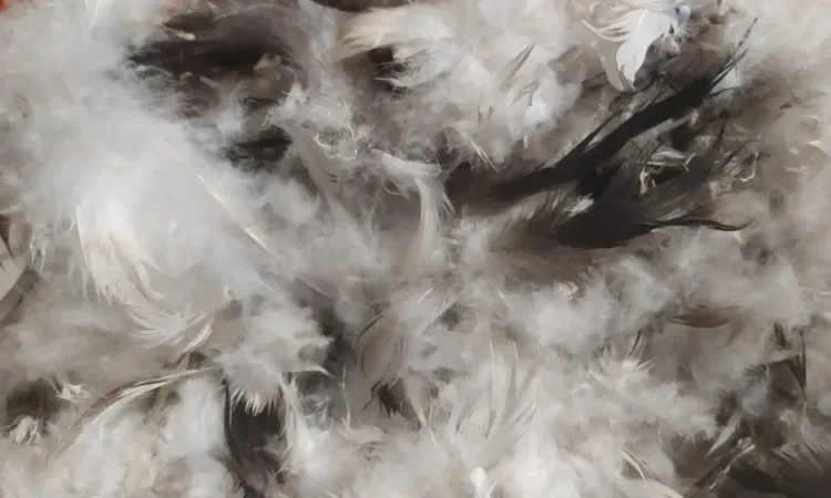 Пух-перо утиное и гусиное - фото № 1