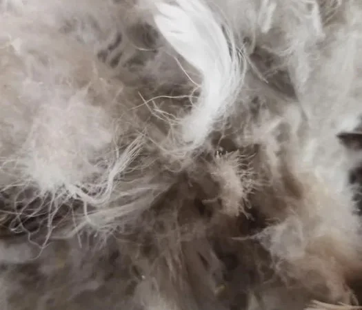 Гусиный пух (перья) - фото № 1