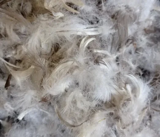 Пух-перо гусей - фото № 1