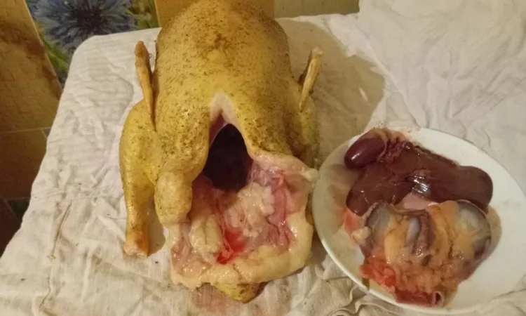 Продам мясо утки - фото № 1