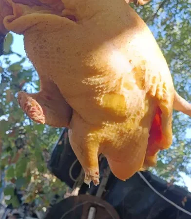 Продам мясо птиц домашня утка. - фото № 1