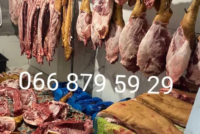 Продам мясо свинини туші свиней - фото № 1
