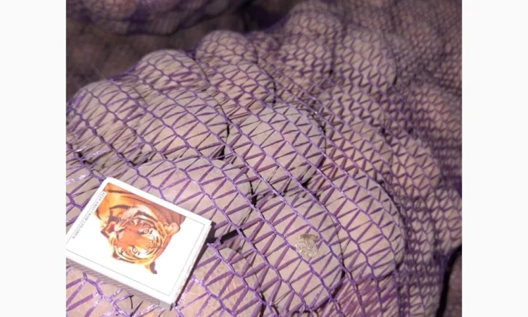 Продам картофель оптом - фото № 8