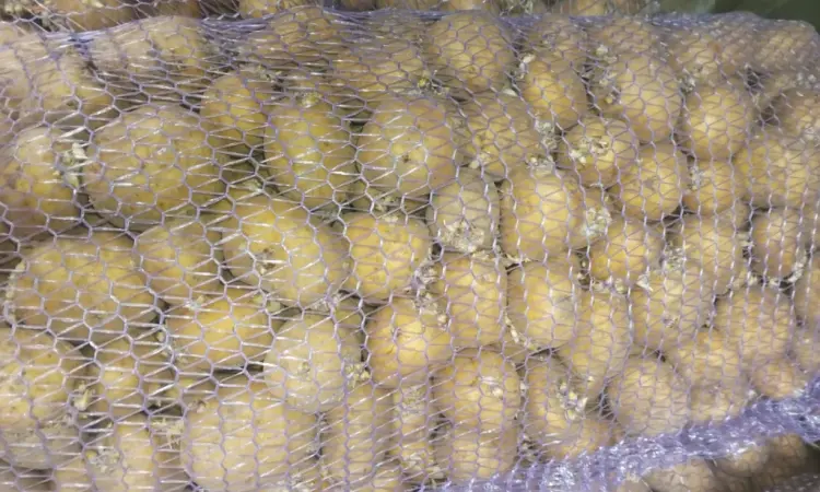 Продам семенной картофель сорта Ривьера - фото № 1