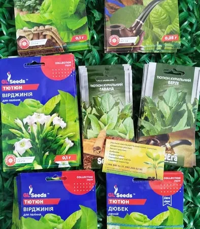 Семена табака курительного Вирджиния Дюбек - фото № 1