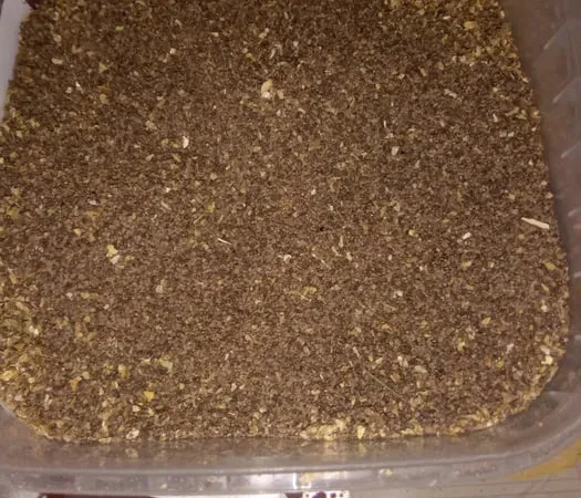 Продам семена табака - фото № 1