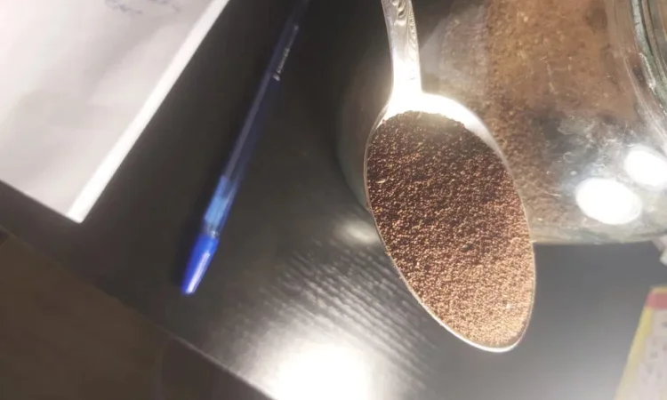 Продам семена тютюну - фото № 1