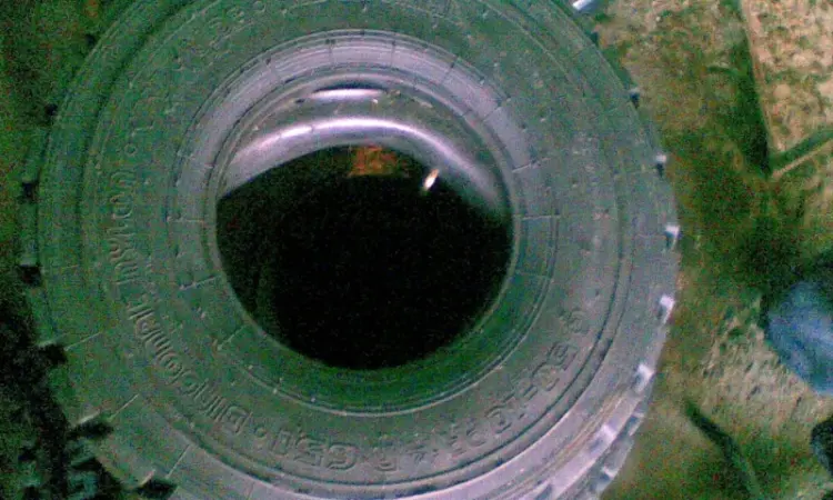 Шина Balkancar 4.00-8; 5.00-8; Шина 6.00-9; Шина 6.00-10; Шина 6.50-10; Шина 7.00-12 - фото № 5