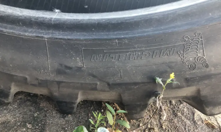 Шины 320/90R54 (12.4R54) Michelin для обприскувачей (пара) - фото № 6