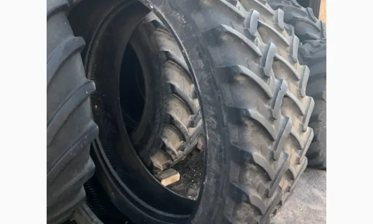 Шины 320/90R54 (12.4R54) Michelin для обприскувачей (пара) - фото № 7