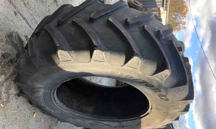 Шина 710/70R42 BKT сільськогосподарська для тракторів - фото № 3