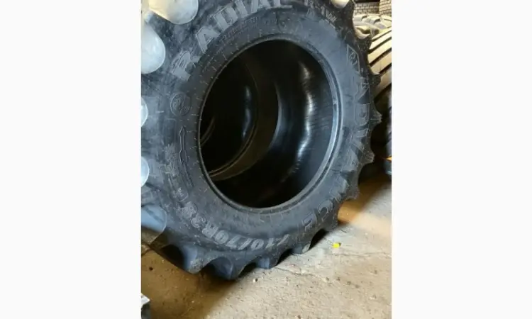 Шина 710/70R38 ADVANCE R-1W TL 178D - фото № 2