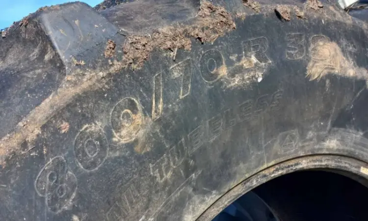 Б/у шина 800/70R38 Michelin (пара) для комбайна або трактора - фото № 3