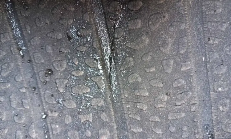 Бу шина 710/75R42 Michelin (пара) Днепр на трактор Fendt John Deer - фото № 5