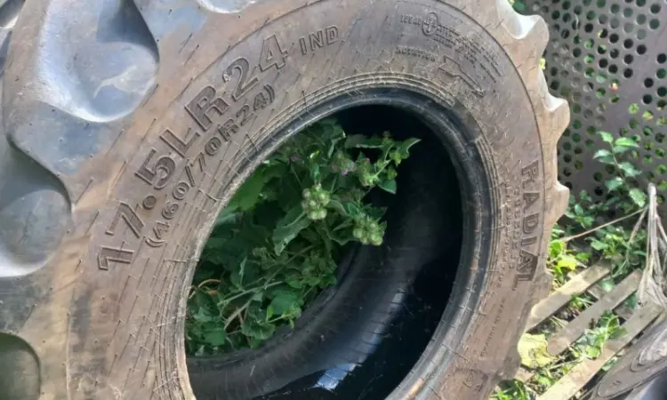 Бу шина 460/70R24 Advance (маниту) - фото № 4