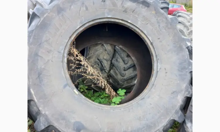 Б/у шина 800/70R38 Michelin (пара) - фото № 2