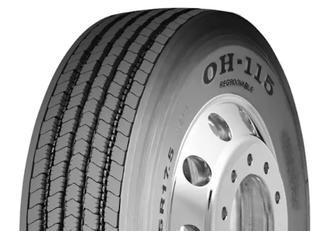 Грузові шини Otani 385/65r22.5 - фото № 4