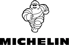 Шина 800/65R32 178A8/178B TL MEGAXBIB Michelin - фото № 4