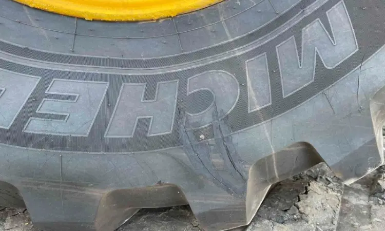 Шина 750/65 R26 Michelin Megaxbib 171A8/171B TL (б/в) - фото № 8