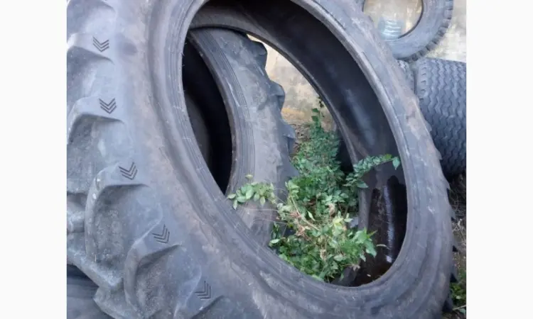 Бу шина 380/90R46 Alliance 165A8 - фото № 4