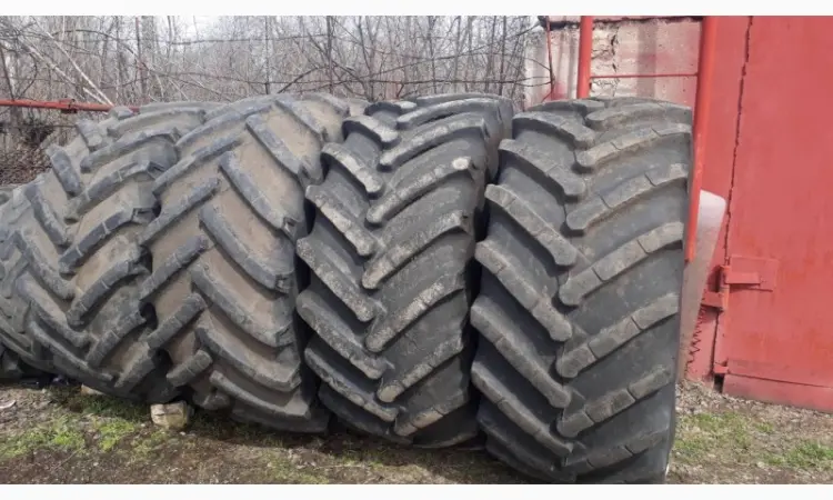 Б/у шина 800/65R32 Rosava 178А8 БЕЗ РЕМОНТА - фото № 1