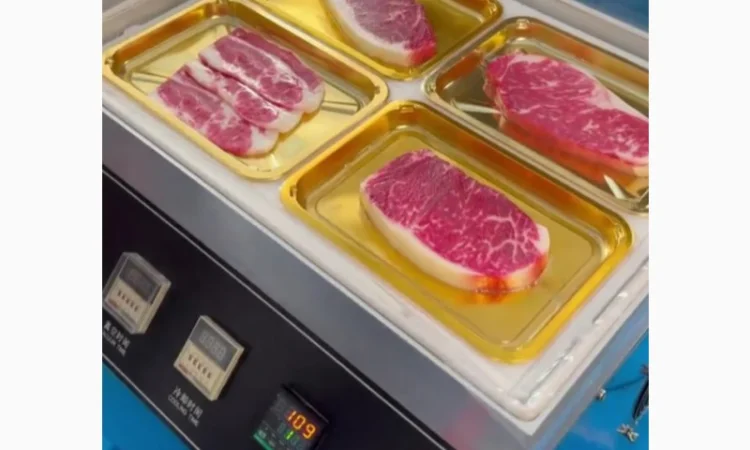 Зварювач лотків (вакуумний трейсилер) STvega Tray Sealer L331 - фото № 5