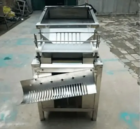 Машина промислова для очищення перепелиних яєць (яйцечистка) STvega Qual Egg Peeler F1000 - фото № 2