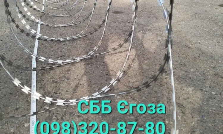 Єгоза бар 'єр - фото № 1