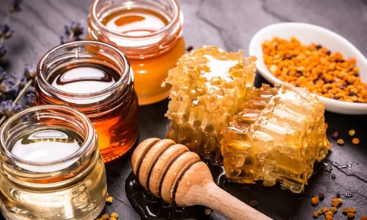 Продам Мед, соти, з власної лісової пасіки - фото № 1