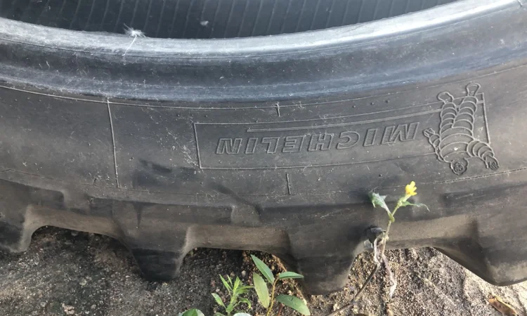 Шини 320/90R54 (12.4R54) Michelin - фото № 1