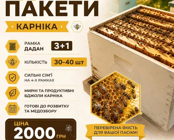 Продам пчелопакеты Карника - фото № 1