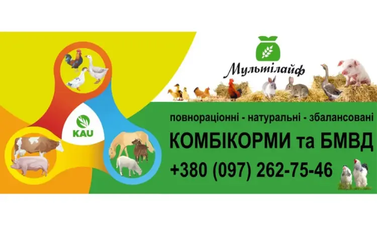"Мультілайф" комбікорма БМВД кролі,свині та ін. - фото № 1