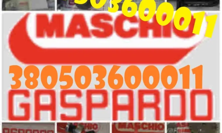 Запчастини для сівалок GASPARDO - оригінал та якісні аналоги - фото № 1