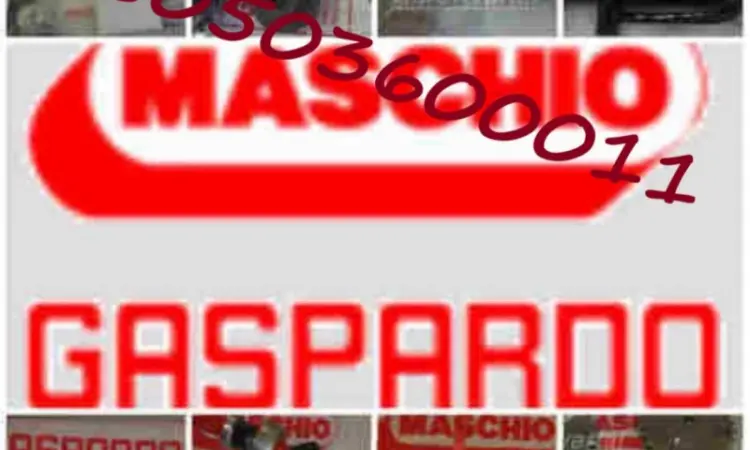 Запчастини Gaspardo для сільгосптехніки - в наявності - фото № 1