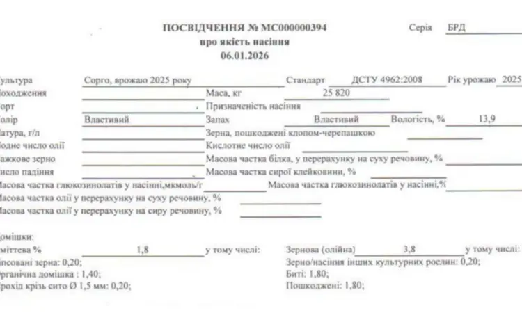 Продамо залишки червоного сорго вр.2025 року - фото № 1