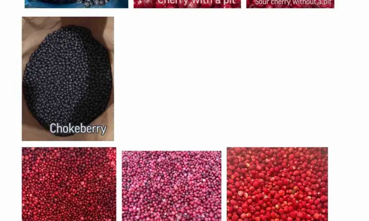ROKYTNE BERRY - фото № 1