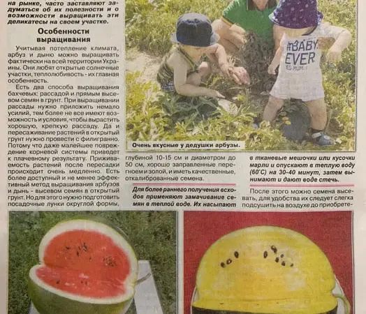 Насіння помідор, кабачків, перців, динь, кавунів - фото № 1