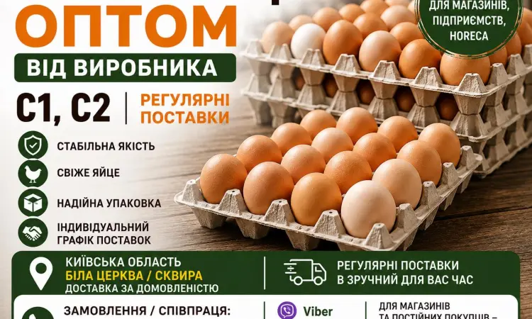 КУРЯЧЕ ЯЙЦЕ ОПТОМ ВІД ВИРОБНИКА С1, С2 - фото № 2