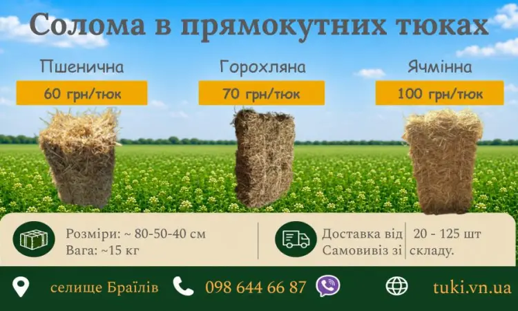 Солома пшеничная, ячменная, гороховая в тюках 2026 - фото № 3