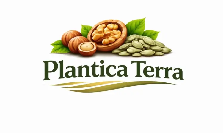 Стабільний постачальник волоського горіха та фундука Plantica Terra - фото № 1