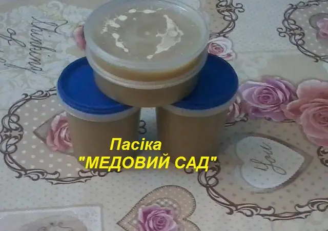 Продам трутневе молочко (гомогенат) - фото № 4