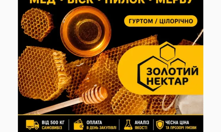 Купаем мед оптом - фото № 1