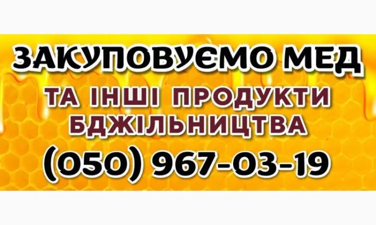 Закуповуємо мед цілорічно від 500 КГ. Самовивіз нашим транспортом - фото № 1