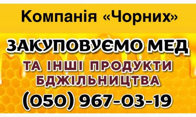 Оптом купуємо мед від 300 кг - Кіровоградщина - фото № 1